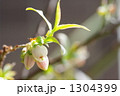 1304399