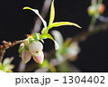 1304402