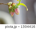 1304416