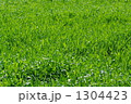 1304423