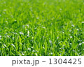 1304425