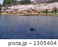 春の高松の池
