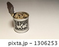 1306253