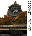 熊本城