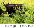 菜の花畑とトラクター