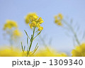 1309340