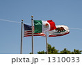 アメリカ・メキシコ国旗 カリフォルニア州旗