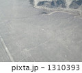 1310393