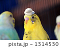 1314530