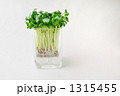 1315455