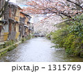 京都・祇園の春
