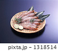 1318514