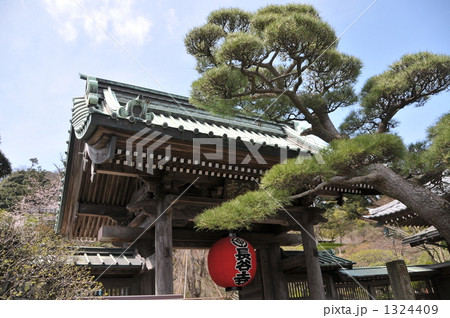 長谷寺の山門と赤提灯 長谷寺の山門と赤提灯