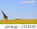 1328192