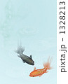 金魚2匹　暑中お見舞い用
