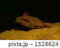 1328624