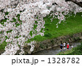 桜～スタンド・バイ・ミー～