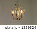 1329324