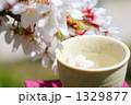 染井吉野とぐい飲みサクラ入り