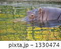 1330474