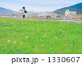 1330607