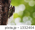 未来へ