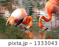 1333043