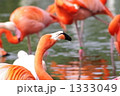 1333049