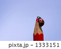 1333151