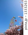 観覧車と桜