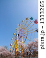観覧車と桜