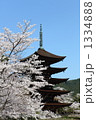 桜と五重塔