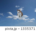 1335371