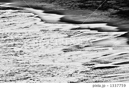 「Melody」の写真素材
