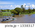 アマゾン川のバルゼア浸水林