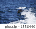 1338440