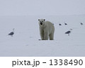 1338490