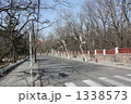 中国・青島の旧市街別荘地・八大関