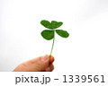1339561