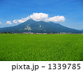 磐梯山と田園