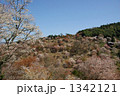 春の吉野山