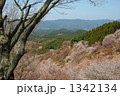 春の吉野山