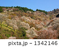 春の吉野山