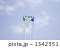 1342351