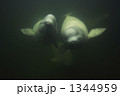 1344959