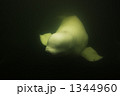 1344960