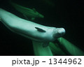 1344962