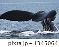 1345064