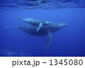 1345080