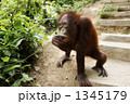 1345179